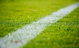 content_grass-2616911_19201