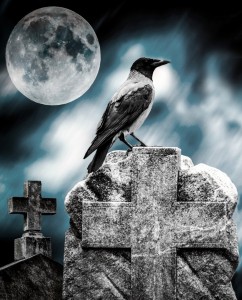 Krage sidder på gravsten i månelys