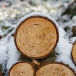 wood-3163292-960-7201